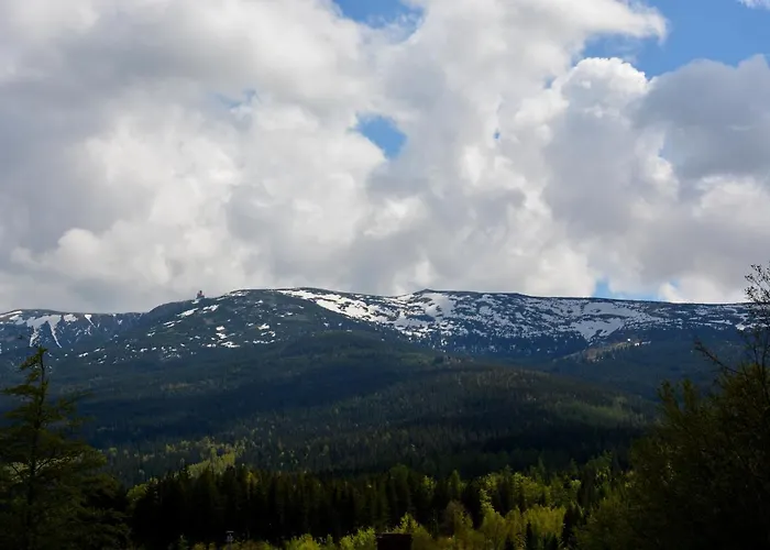 Apartment Fma & Bike